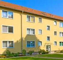 Wohnung zum Mieten in Ahlen 428,00 € 49.25 m²