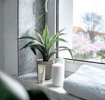 Wohnung zum Mieten in Bad Sulza 320,00 € 54.4 m²