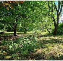 Grundstück zu verkaufen in Falkensee 430.000,00 € 1281 m²