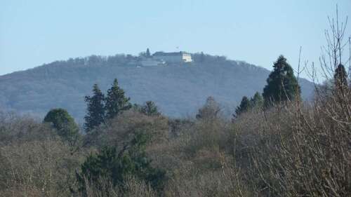 Foto - Wohnung zum Kaufen in Bonn 598.000,00 € 124 m²
