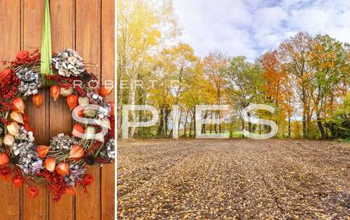 Foto - Grundstück zu verkaufen in Osterholz-Scharmbeck 249.000,00 € 3519 m²