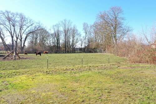 Foto - Grundstück zu verkaufen in Bückeburg 67.000,00 € 1000 m²