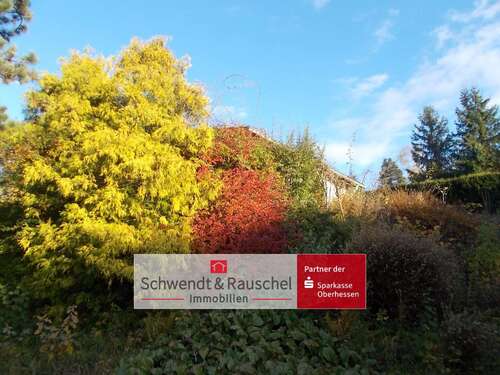 Foto - Haus zum Kaufen in Schotten 139.000,00 € 60 m²