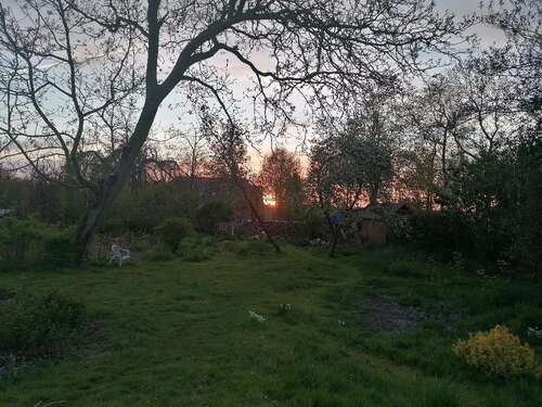 Foto - Grundstück zu verkaufen in Butjadingen 92.000,00 € 800 m²