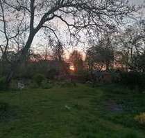 Grundstück zu verkaufen in Butjadingen 92.000,00 € 800 m²