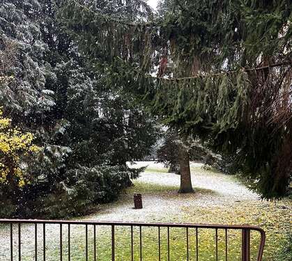 Foto - Haus zum Kaufen in Krefeld 550.000,00 € 285 m²