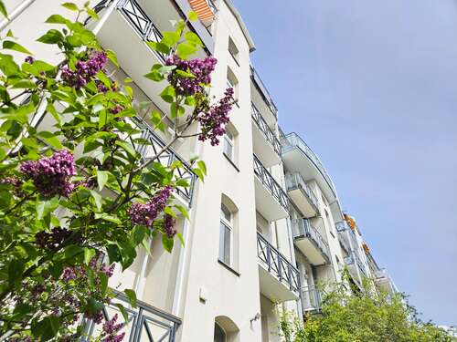 Foto - Wohnung zum Mieten in Halle 474,00 € 52.56 m²