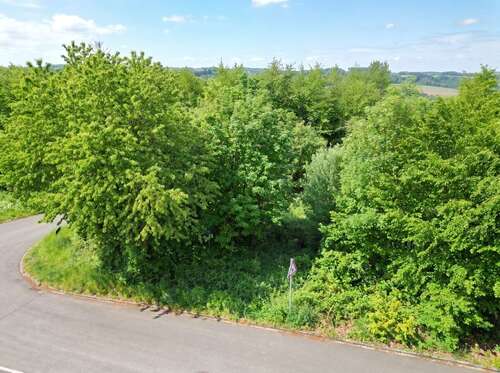 Foto - Grundstück zu verkaufen in Lindlar 185.000,00 € 1253 m²