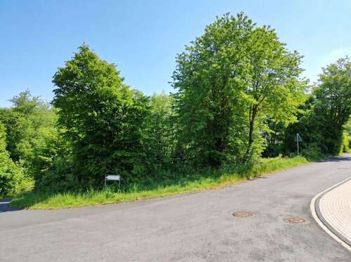 Foto - Grundstück zu verkaufen in Lindlar 185.000,00 € 1253 m²