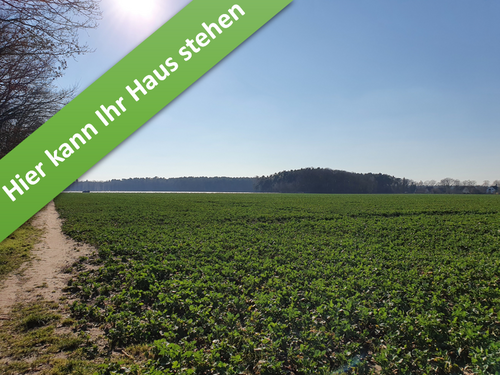 Foto - Haus zum Kaufen in Wathlingen 337.190,00 € 144 m²