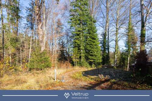 Foto - Grundstück zu verkaufen in Dießen am Ammersee Riederau 695.000,00 € 1001 m²