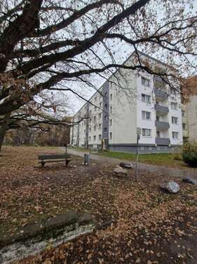 Foto - Wohnung zum Mieten in Schwerin 295,00 € 46.92 m²