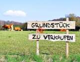 Grundstück zu verkaufen in Göppingen 139.000,00 € 206 m²