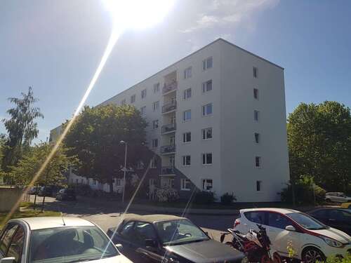 Foto - Wohnung zum Mieten in Greifswald 161,00 € 20 m²