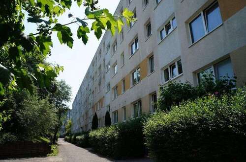 Foto - Wohnung zum Mieten in Schwerin 394,00 € 53.2 m²