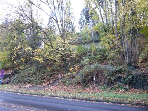 Foto - Grundstück zu verkaufen in Eppstein 225.000,00 € 1508 m²