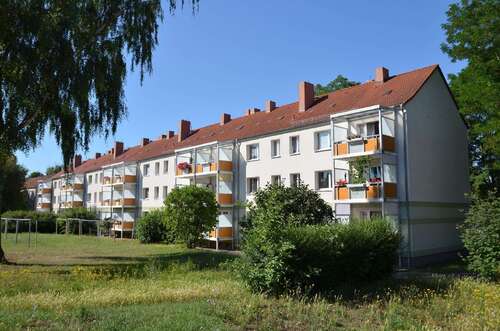 Foto - Wohnung zum Mieten in Sangerhausen 320,00 € 52 m²