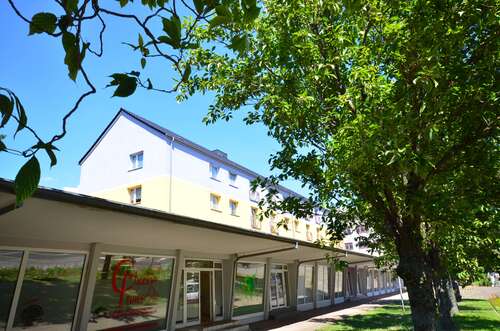 Foto - Wohnung zum Mieten in Magdeburg 438,00 € 58.4 m²