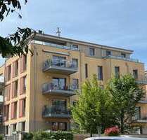 Wohnung zum Mieten in Dresden 490,00 € 40.8 m²