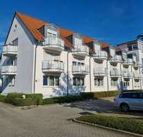 Wohnung zum Mieten in Halle 360,00 € 40.67 m²
