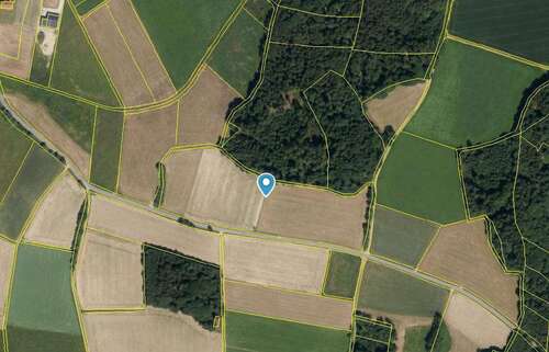 Foto - Grundstück in Falkenstein 181.733,50 € 27959 m²