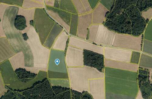 Foto - Grundstück in Falkenstein 121.320,00 € 16176 m²