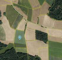 Grundstück in Falkenstein 121.320,00 € 16176 m²