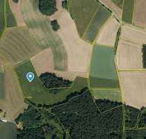 Grundstück in Falkenstein 119.075,00 € 23815 m²