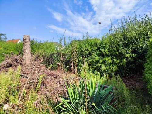 Foto - Grundstück zu verkaufen in Magdeburg 273.000,00 € 700 m²