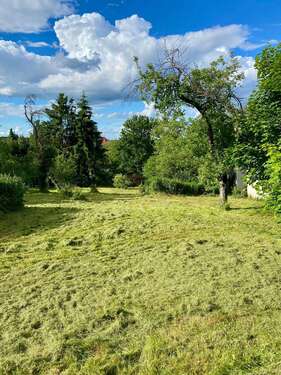 Foto - Grundstück zu verkaufen in Bad Suderode 114.500,00 € 1145 m²