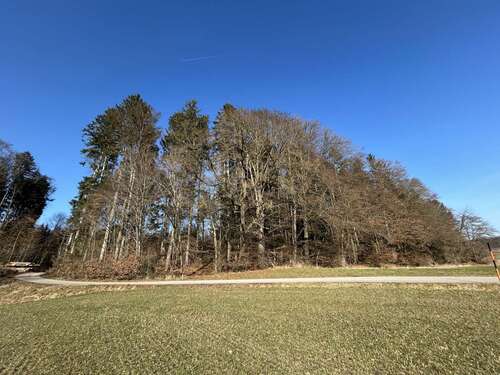 Foto - Grundstück in Amerang 70.000,00 € 9432 m²