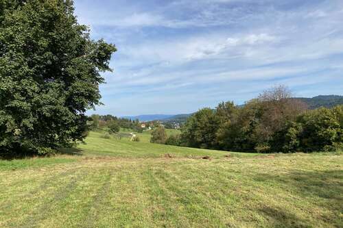 Foto - Grundstück zu verkaufen in Wittnau 900.000,00 € 1458 m²
