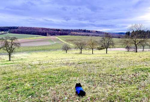 Foto - Wohnung zum Mieten in Kraichtal Landshausen 780,00 € 88.52 m²