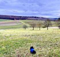 Wohnung zum Mieten in Kraichtal Landshausen 780,00 € 88.52 m²