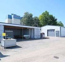Halle in Leer (Ostfriesland) 1.950,00 € 200 m²