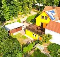Wohnung zum Mieten in Sangerhausen 320,00 € 45 m²