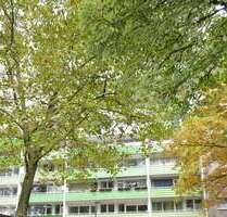 Wohnung zum Kaufen in Sankt Augustin Niederpleis 165.000,00 € 82 m² - Sankt Augustin / Niederpleis