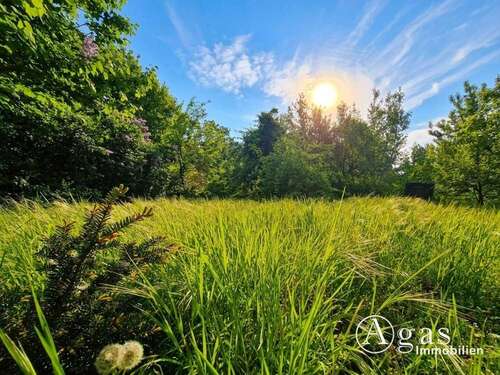 Foto - Grundstück zu verkaufen in Petershagen 249.000,00 € 830 m²