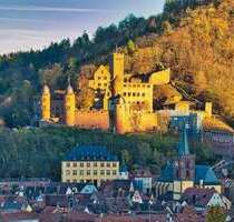 Wohnung zum Kaufen in Wertheim 290.000,00 € 123.37 m²