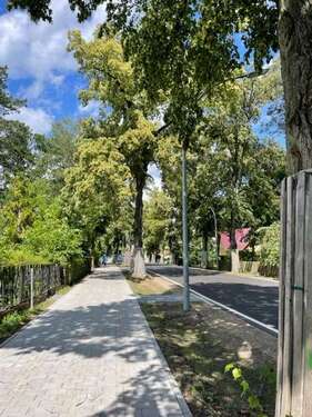 Foto - Wohnung zum Kaufen in Strausberg 239.900,00 € 53 m²