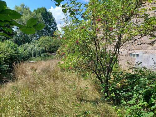 Foto - Haus zum Kaufen in Winnweiler 160.000,00 € 96 m²