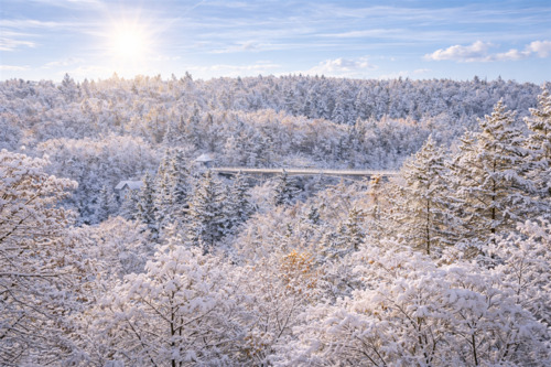 Foto - Wohnung zum Kaufen in Grünwald , Kr München 1.350.000,00 € 165 m²