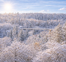 Wohnung zum Kaufen in Grünwald , Kr München 1.350.000,00 € 165 m²