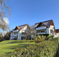 Haus zum Kaufen in freiburg 3.300.000,00 € 558 m²