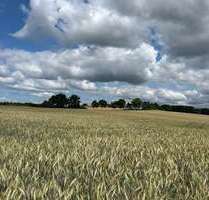 Grundstück zu verkaufen in Untersiemau Birkach am Forst 152.000,00 € 4000 m² - Untersiemau / Birkach am Forst