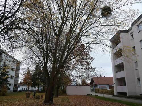 Foto - Wohnung zum Kaufen in Neuenburg-Steinenstadt 215.000,00 € 67 m²