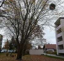 Wohnung zum Kaufen in Neuenburg-Steinenstadt 215.000,00 € 67 m²