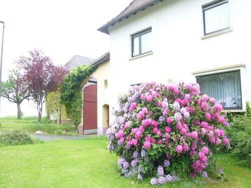 Foto - Grundstück in Butzbach-Maibach 498.000,00 € 2600 m²