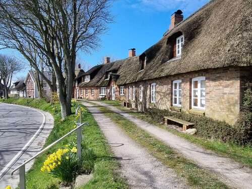 Foto - Haus zum Kaufen in Pellworm 150.000,00 € 60 m²