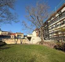 Wohnung zum Mieten in Frankenthal 1.825,00 € 167.25 m²